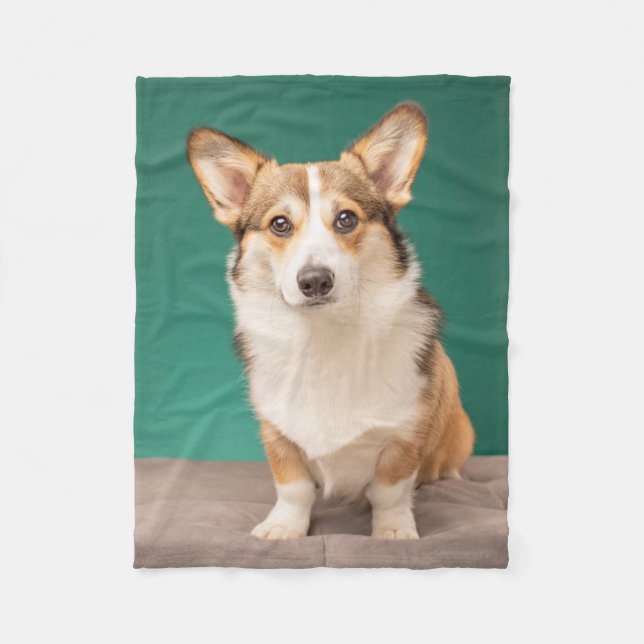 Cutest Baby djur | Corgi på Teal Fleecefilt (Framsidan)