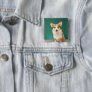 Cutest Baby djur Corgi på Teal Knapp