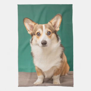 Cutest Baby djur Corgi på Teal Kökshandduk