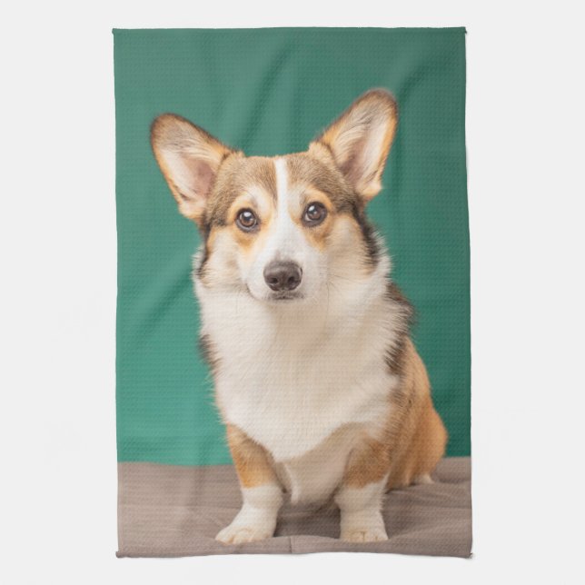 Cutest Baby djur | Corgi på Teal Kökshandduk (Vertikal)