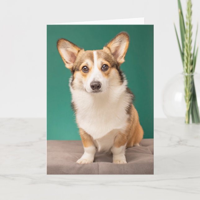 Cutest Baby djur | Corgi på Teal Kort (Framsida)