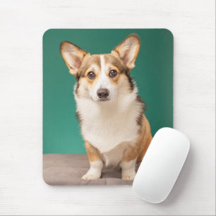 Cutest Baby djur Corgi på Teal Musmatta