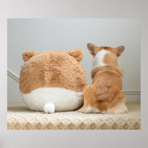 Cutest Baby djur Corgi & plush Puppy Poster