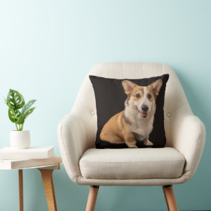 Cutest Baby djur   Corgi Porträtt på Black Kudde