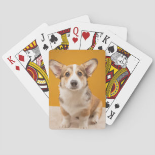 Cutest Baby djur Corgi Porträtt på Orange Casinokort
