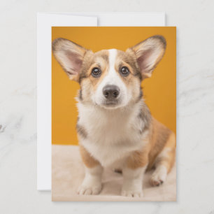 Cutest Baby djur Corgi Porträtt på Orange Tack Kort