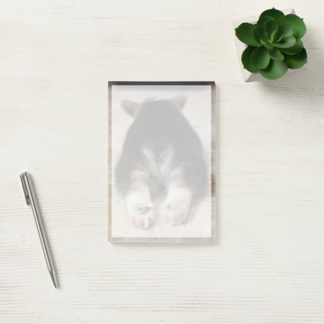 Cutest Baby djur | Corgi Puppy Behind Post-it Block (Kontor)