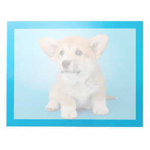 Cutest Baby djur Corgi Puppy på Blue Anteckningsblock
