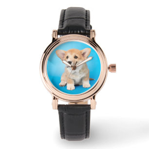 Cutest Baby djur Corgi Puppy på Blue Armbandsur
