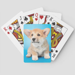 Cutest Baby djur Corgi Puppy på Blue Casinokort