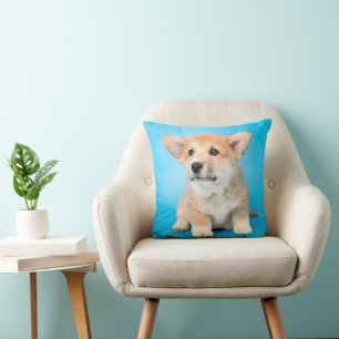 Cutest Baby djur Corgi Puppy på Blue Kudde