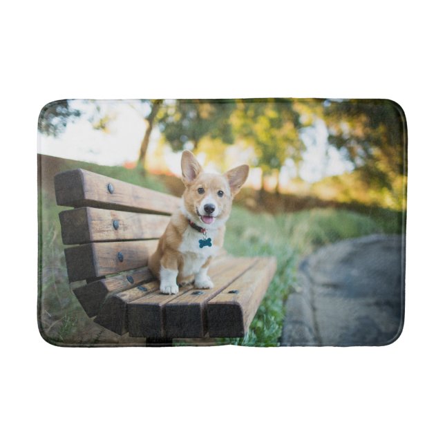 Cutest Baby djur | Corgi Puppy på en parkbench Badrumsmatta (Framsidan)