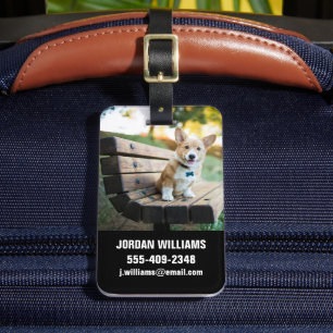 Cutest Baby djur Corgi Puppy på en parkbench Bagagebricka