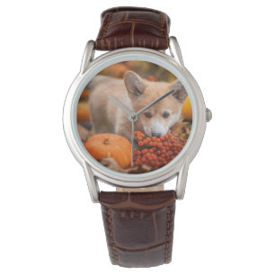Cutest Baby djur   Corgi Puppy på hösten Armbandsur
