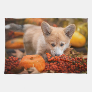 Cutest Baby djur Corgi Puppy på hösten Kökshandduk