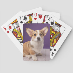 Cutest Baby djur   Corgi Puppy på Lila Casinokort
