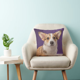 Cutest Baby djur Corgi Puppy på Lila Kudde