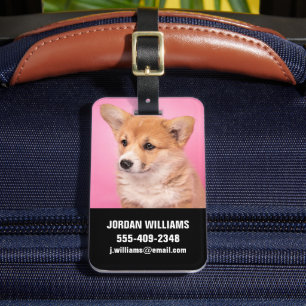Cutest Baby djur Corgi Puppy på Rosa Bagagebricka