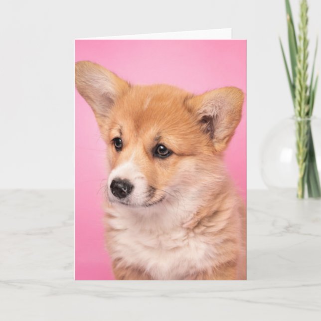 Cutest Baby djur | Corgi Puppy på Rosa Kort (Framsida)