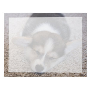 Cutest Baby djur Corgi Puppy på Shag Matta Anteckningsblock