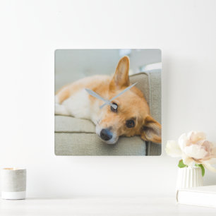 Cutest Baby djur Corgi Puppy på soffan Fyrkantig Klocka