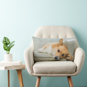 Cutest Baby djur Corgi Puppy på soffan Lumbarkudde