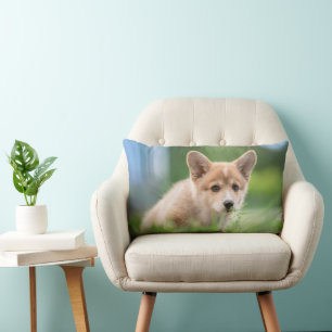 Cutest Baby djur Corgi Puppy på Yard Lumbarkudde