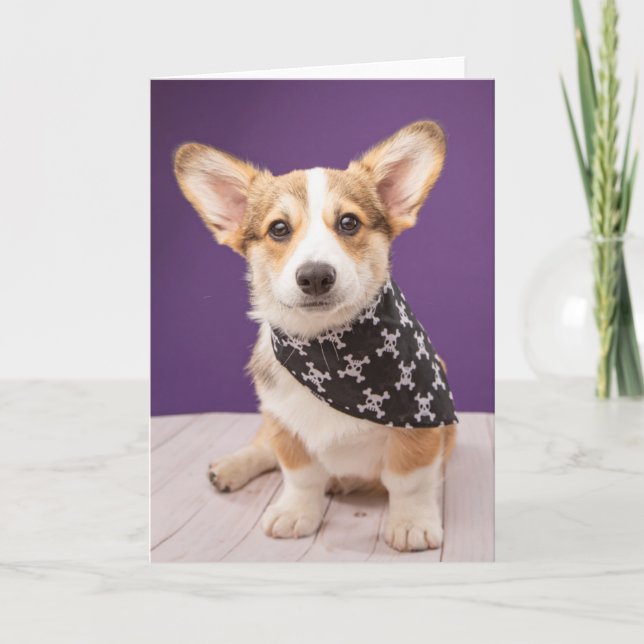 Cutest Baby djur | Corgi Puppy Skull Bandana Kort (Framsida)