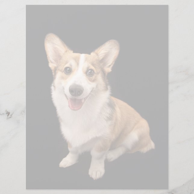 Cutest Baby djur | Corgi Puppy Smile (Framsida)