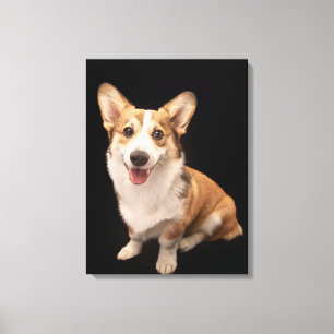 Cutest Baby djur   Corgi Puppy Smile Canvastryck