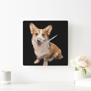 Cutest Baby djur Corgi Puppy Smile Fyrkantig Klocka