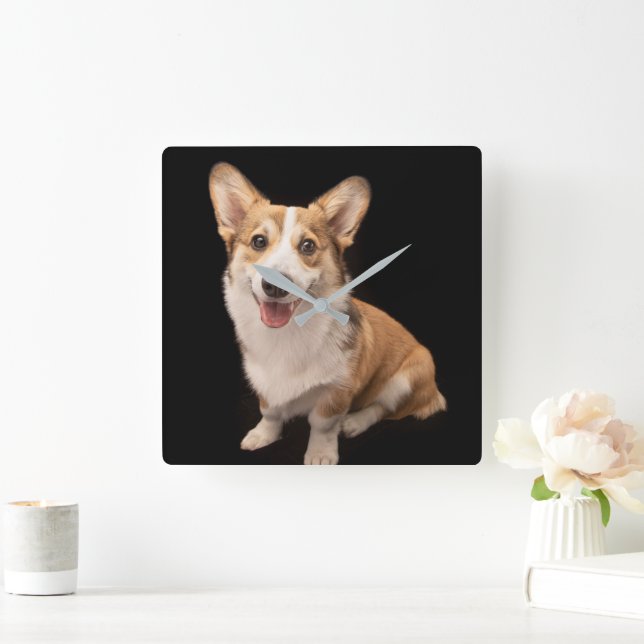 Cutest Baby djur | Corgi Puppy Smile Fyrkantig Klocka (Hem)