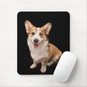 Cutest Baby djur Corgi Puppy Smile Musmatta