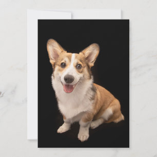 Cutest Baby djur   Corgi Puppy Smile Tack Kort