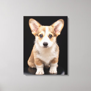 Cutest Baby djur   Corgi Puppy Ständigt Tall Canvastryck