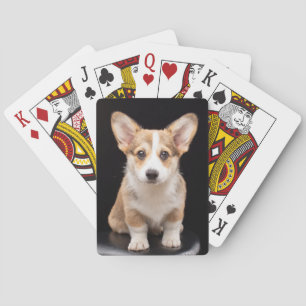 Cutest Baby djur Corgi Puppy Ständigt Tall Casinokort