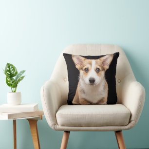 Cutest Baby djur   Corgi Puppy Ständigt Tall Kudde