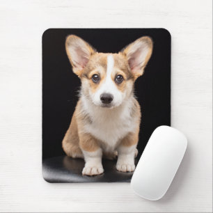 Cutest Baby djur Corgi Puppy Ständigt Tall Musmatta