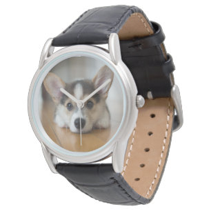 Cutest Baby djur   Corgi Puppy Tittar Armbandsur