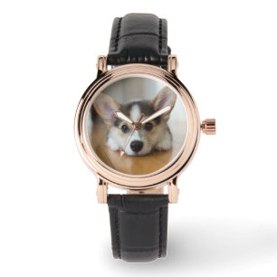 Cutest Baby djur   Corgi Puppy Tittar Armbandsur