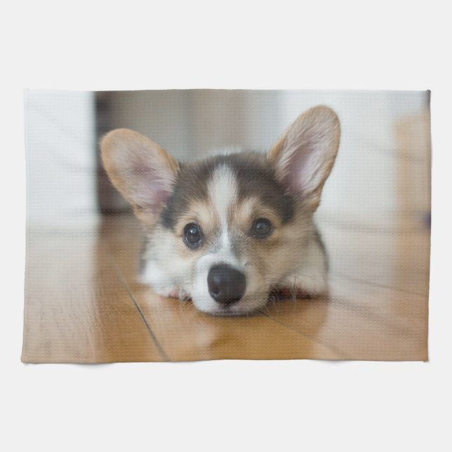 Cutest Baby djur | Corgi Puppy Tittar Kökshandduk (Horisontell)