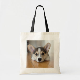 Cutest Baby djur Corgi Puppy Tittar Tygkasse
