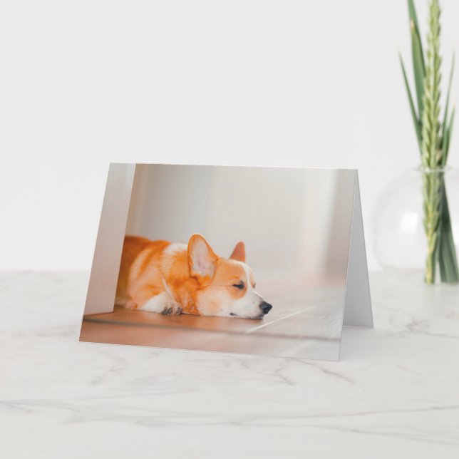 Cutest Baby djur | Corgi Sleeping Kort (Framsida)