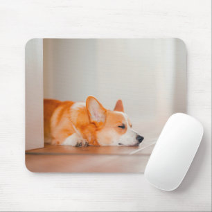 Cutest Baby djur Corgi Sleeping Musmatta