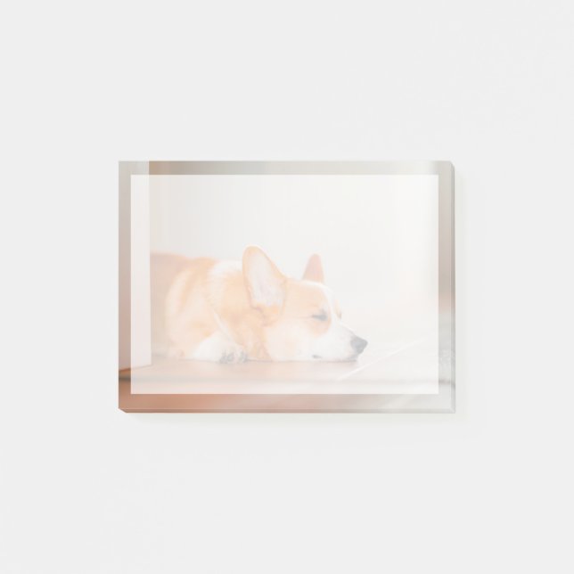Cutest Baby djur | Corgi Sleeping Post-it Block (Framsida)