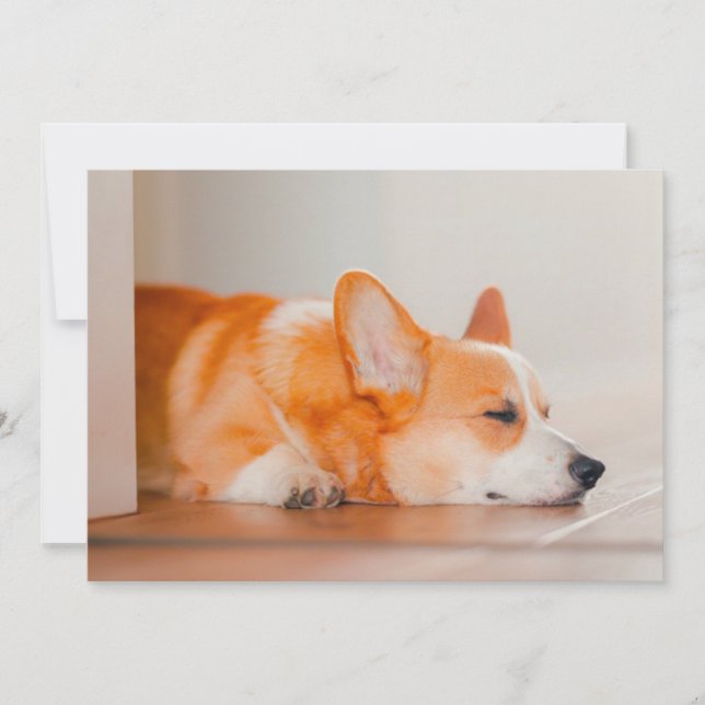 Cutest Baby djur | Corgi Sleeping Tack Kort (Framsida)