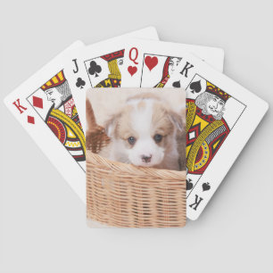 Cutest Baby djur Corgi Tiny Puppy Casinokort
