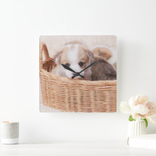 Cutest Baby djur Corgi Tiny Puppy Fyrkantig Klocka