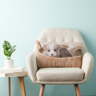 Cutest Baby djur Corgi Tiny Puppy Lumbarkudde
