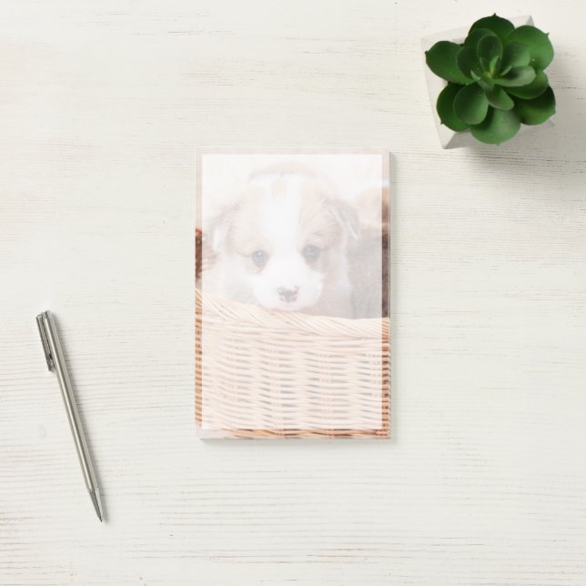 Cutest Baby djur | Corgi Tiny Puppy Post-it Block (Kontor)